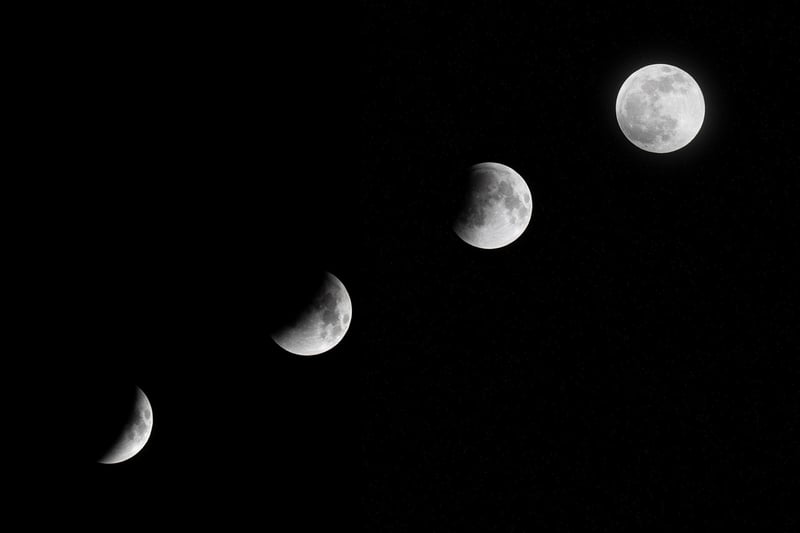 Moonlit Nuptials
